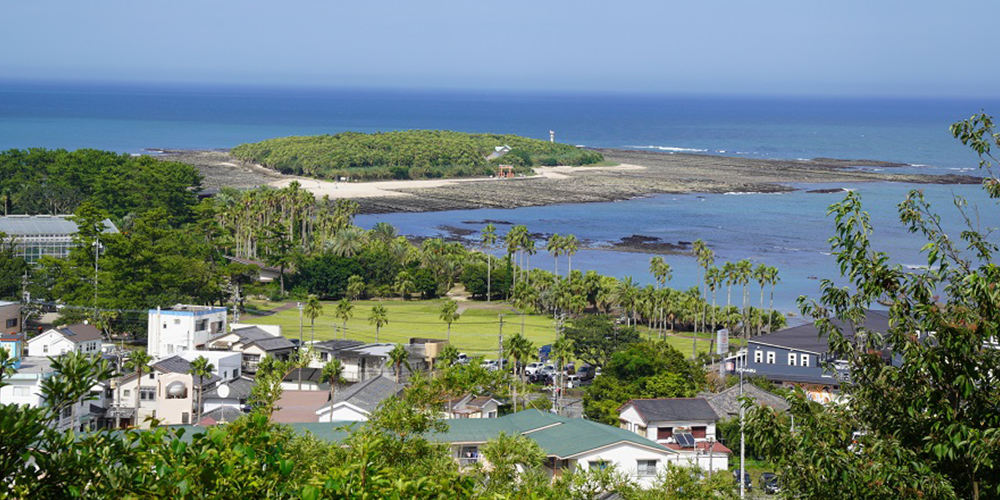 募集背景